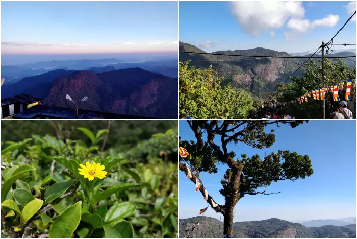 Adam's Peak Mountain