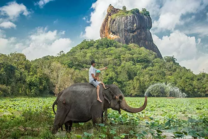 Habarana Safari park in Sri Lanka