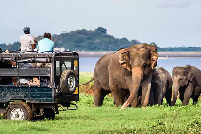 Safari Jeep in Sri Lanka
