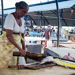 Old lady fish seller at Negombo